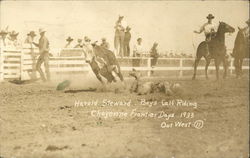 Harold Steward - Boys Calf Riding - Cheyenne Frontier Days 1933 - Out West Boulder, CO Postcard Postcard Postcard