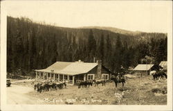 South Fork Inn with Horses - Big Horns Montana Postcard Postcard Postcard