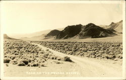 Road on the Desert Nevada Postcard Postcard Postcard