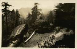 Echo Point, Blewett Pass Postcard