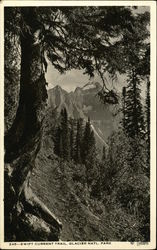 Swift Current Trail, Glacier National Park Montana Postcard Postcard Postcard