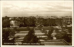 Exposition Park Los Angeles, CA Postcard Postcard Postcard