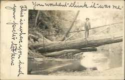 Man on a Fallen Log Bridge Sebastopol, CA Postcard Postcard Postcard