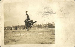 Wild Horse Mike on Cyclone Postcard