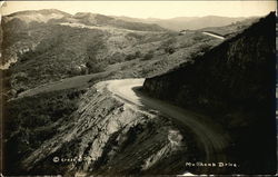 Mullhond Drive Postcard