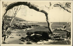 Rugged Shore Laguna Beach, CA Postcard Postcard Postcard