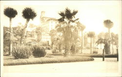 View of Tall Hotel Surrounded by Palm Trees Postcard