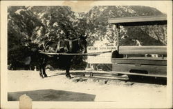 Mt. Lowe Scenic Railway Postcard