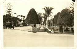 Early Los Angeles with unpaved streets and palm-lined sidewalks Postcard