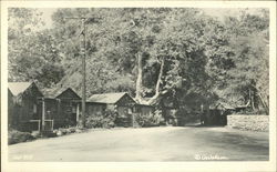 Cabins in the woods Postcard