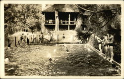 Swimming Pool At Idyllwild Pines California Postcard Postcard Postcard