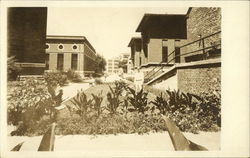 Man in the Grass on a College Campus Schools & Education Postcard Postcard Postcard