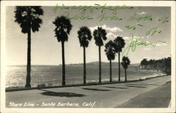 Shore Line Postcard