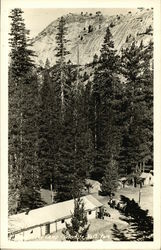 Horseback riders in a Camp located at Yosemite National Park Postcard Postcard Postcard