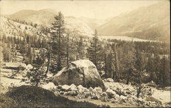 Mountainside in a National Park Yosemite, CA Yosemite National Park Postcard Postcard Postcard