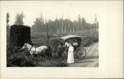 People, Horses, and Carriage by a Large Tree Stump Postcard