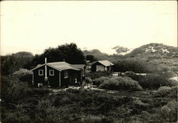 The Oasis of Moy Mell Dunes of Oceano California Postcard Postcard Postcard