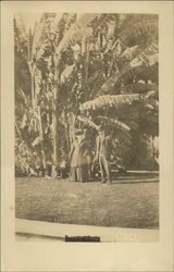 Couple on Dayton St. Standing in Front of Large Palms Postcard