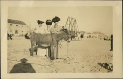 Women with Donkey on Beach Los Angeles, CA Postcard Postcard Postcard