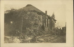 Man Standing in front of Ivy Covered Bungalow Pasadena, CA Postcard Postcard Postcard