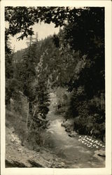 Yuba River, Sierra County Postcard