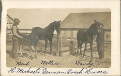 Two Men with Two Horses and a Foal Postcard Postcard Postcard