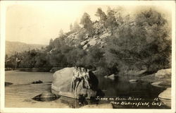 Scene on Kern River Bakersfield, CA Postcard Postcard Postcard