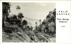 Palm Canyon Palm Springs, CA Postcard Postcard Postcard