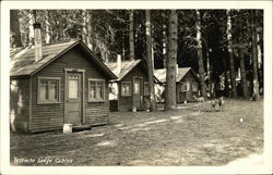 Yosemite Lodge Cabins with Deer Postcard