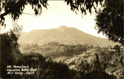 Mt. Tamalpais Elevation 2592 Feet Mill Valley, CA Postcard Postcard Postcard