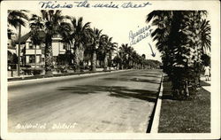 Residential District Postcard