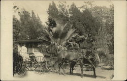 People Riding in a Cart Pulled by Horses, Prado Corona, CA Horse-Drawn Postcard Postcard Postcard