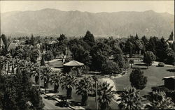 Palm Trees and Lawn in front of the Mountainside Palm Springs, CA Postcard Postcard Postcard