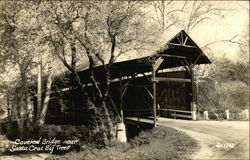 Covered Bridge Near Big Trees Santa Cruz, CA Postcard Postcard Postcard