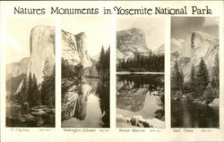 Natures Monuments in Yosemite National Park Postcard