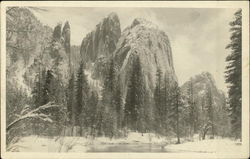 Snowy Mountains and Trees in Yosemite Postcard