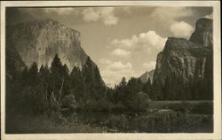 Scenic View of Yosemite Park Postcard