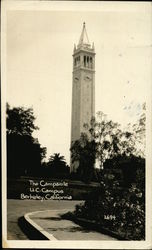 The Campanile - UC Campus Postcard