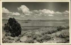 Mono Lake Postcard