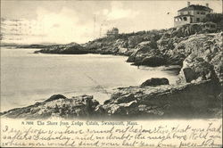 The Shore from Lodge Estate Postcard