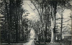 McCosh Walk Postcard