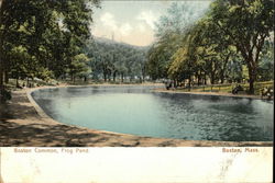 Boston Common, Frog Pond Postcard