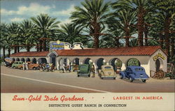 Sun-Gold Date Gardens - Roadside Postcard