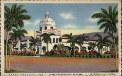 King's Tropical Inn Postcard