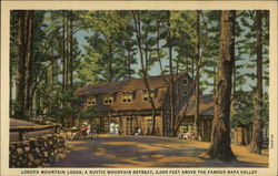 Lokoya Mountain Lodge, a Rustic Mountain Retreat, 2,000 feet Above the Famous Napa Valley California Postcard Postcard