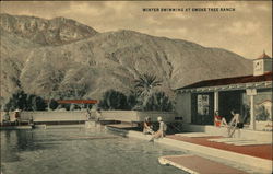 Winter Swimming at Smoke Tree Ranch Postcard