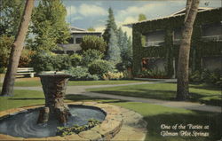 One of the Patios at Gilman Hot Springs California Postcard Postcard