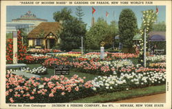 Jackson & Perkins Rose Garden 1939 NY World's Fair Postcard Postcard