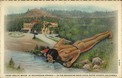 Chief Health Water at Richardson Springs - in the Mountains near Chico, Butte County, Califormia Postcard