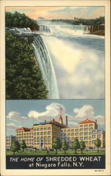 The Home of Shredded Wheat Niagara Falls, NY Postcard Postcard